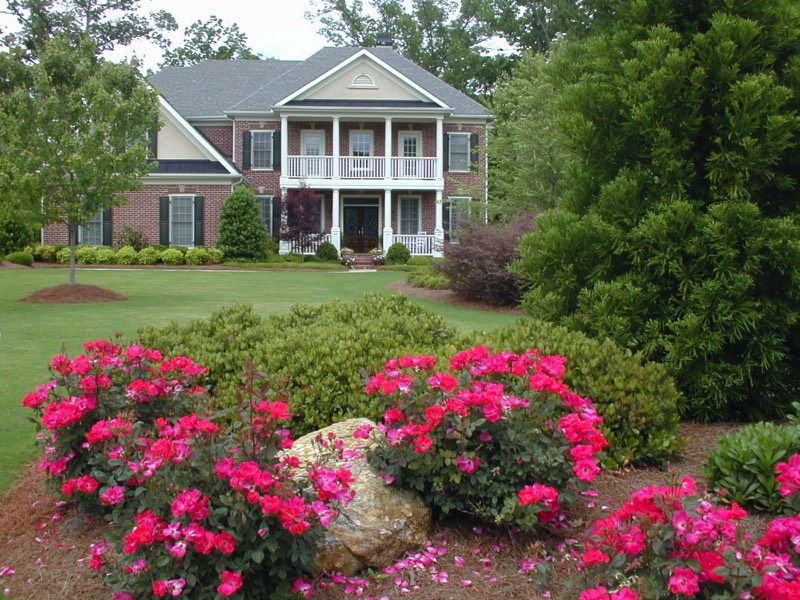 Water Wise shrubs perennials front yard